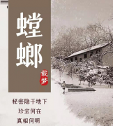 《螳螂》