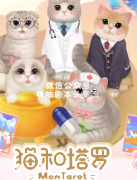 《猫和塔罗》