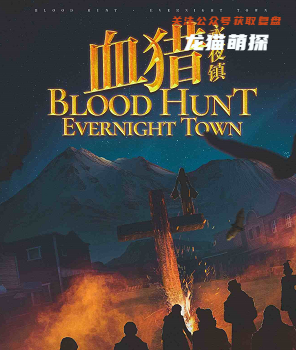 血猎永夜镇剧本杀复盘