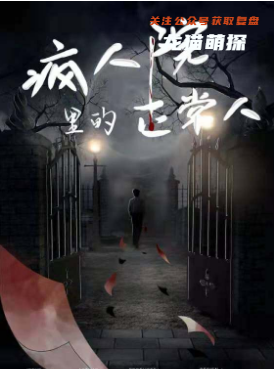 疯人院里的正常人剧本杀