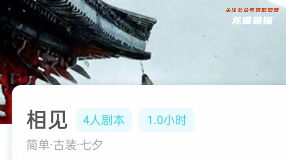 相见我是谜剧本角色