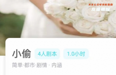我是谜系列|小偷