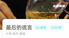 我是谜|最后的谎言