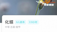 我是谜《化蝶》