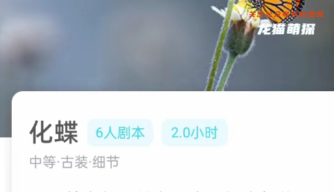 化蝶我是谜答案复盘解析